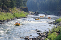 20260801-IMG_4922