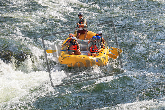 20260801-IMG_5019