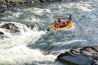 20260801-IMG_5044