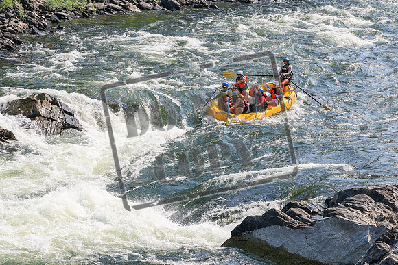 20260801-IMG_5044