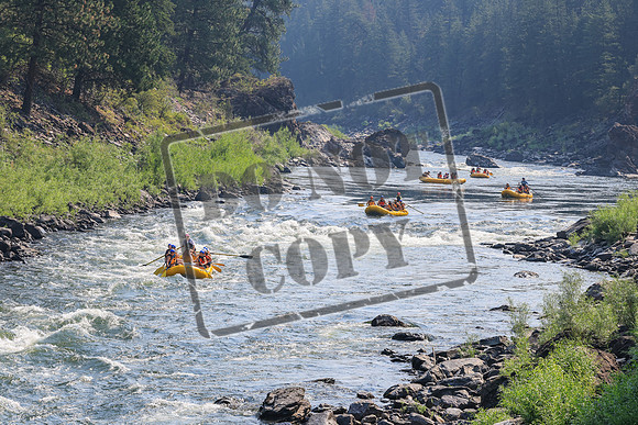 20260801-IMG_4923