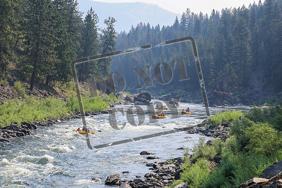 20260801-IMG_4919