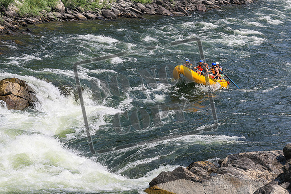 20260801-IMG_6981