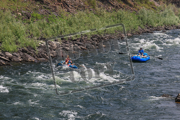 20260801-IMG_7875