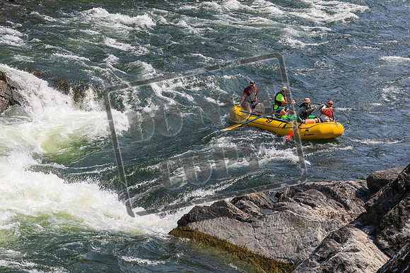 20260801-IMG_6191