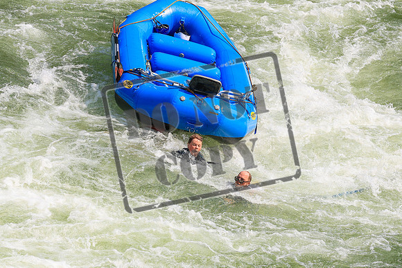 20260801-IMG_5599