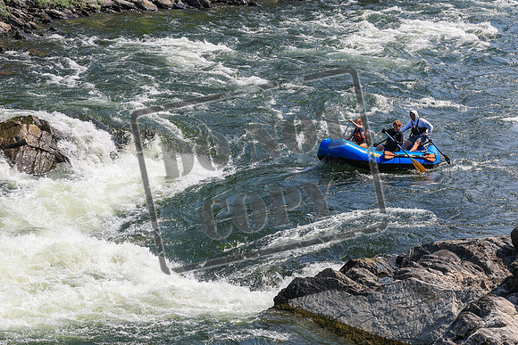 20260801-IMG_5583