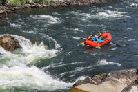 20260801-IMG_9891
