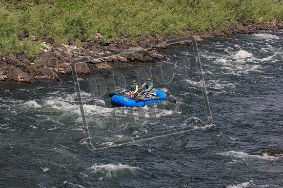 20260801-IMG_0540