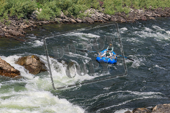 20260801-IMG_0544