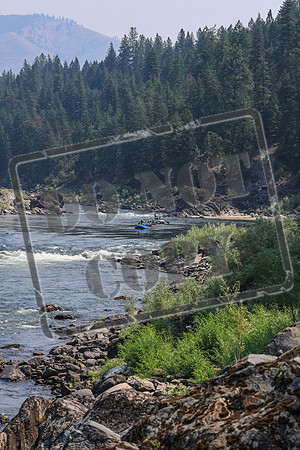 20260801-IMG_5734