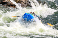 20260801-IMG_5747