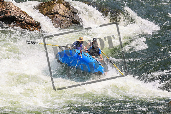 20260801-IMG_6468