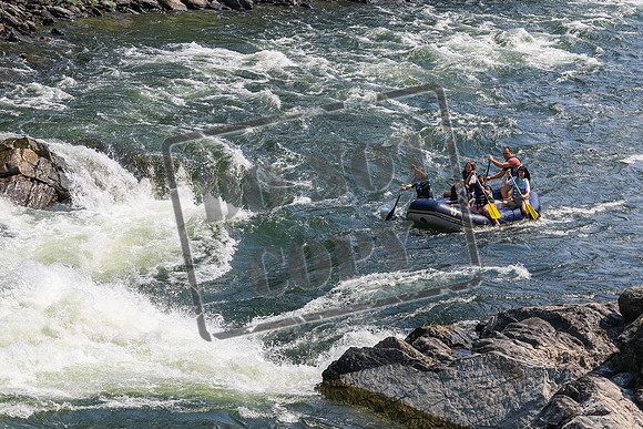 20260801-IMG_5558