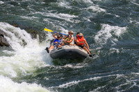 20260801-IMG_6842