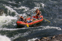 20260801-IMG_7952