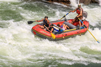 20260801-IMG_7961