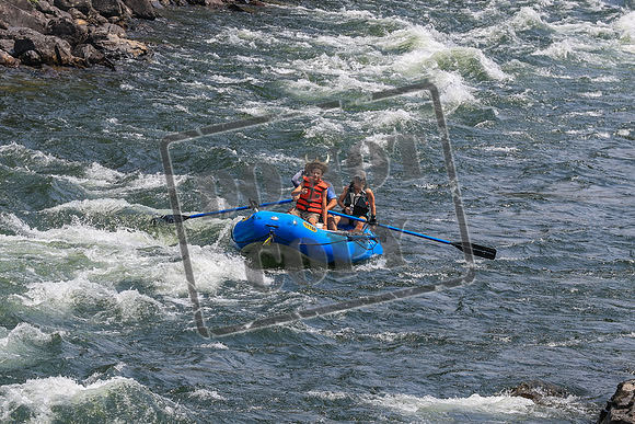 20260801-IMG_7193