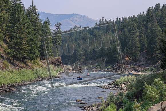 20260801-IMG_7184