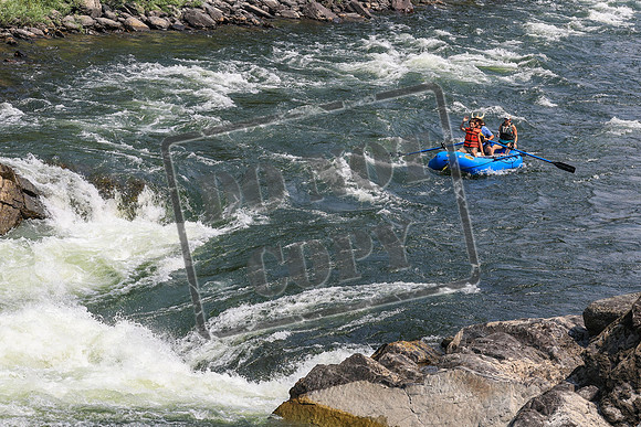 20260801-IMG_7196