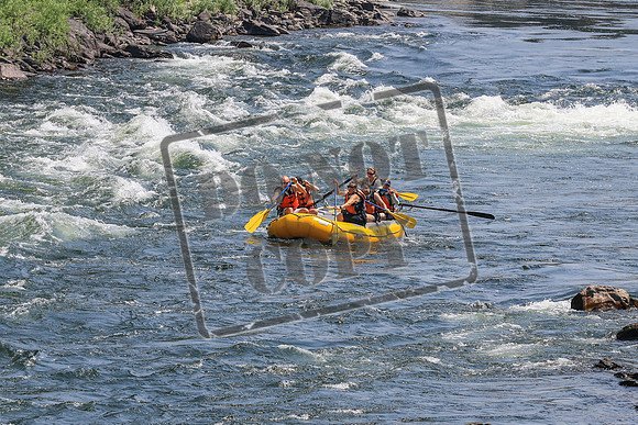20260801-IMG_6362