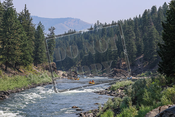 20260801-IMG_6307