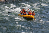 20260801-IMG_6408