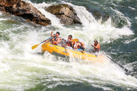 20260801-IMG_6418