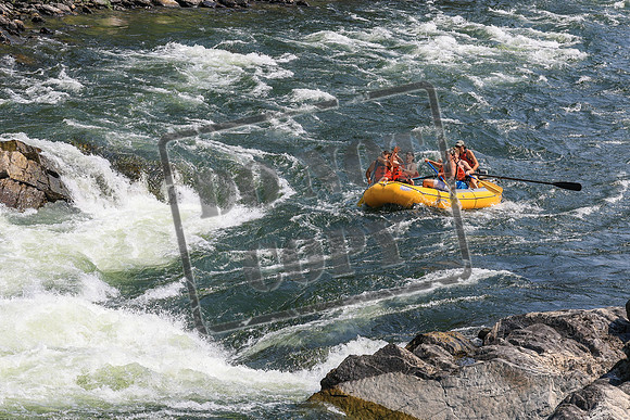 20260801-IMG_6410
