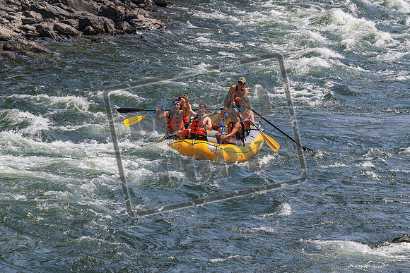20260801-IMG_6406