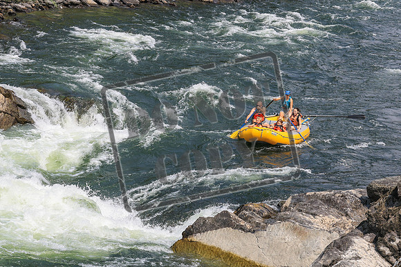 20260801-IMG_8761