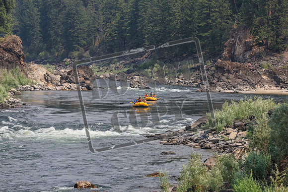 20260801-IMG_8714
