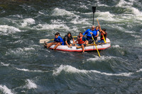 20260801-IMG_8450