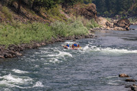 20260801-IMG_8442