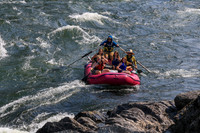 20260801-IMG_5484