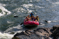 20260801-IMG_5486
