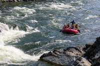 20260801-IMG_5482