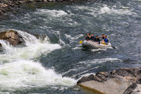 20260801-IMG_7995