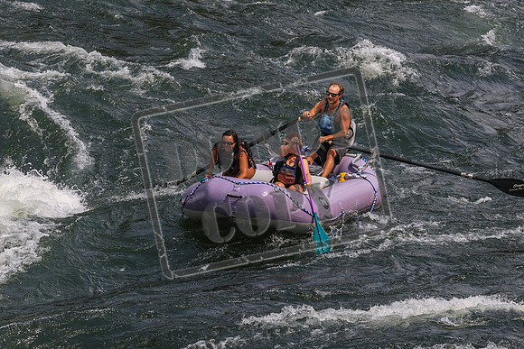 20260801-IMG_8291