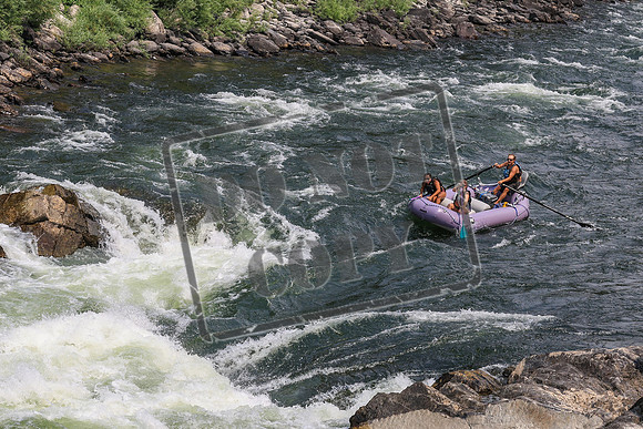 20260801-IMG_8290