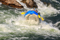 RMR Raft 7 (Big Hit, Wild Style!)