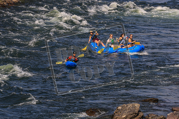 20260801-IMG_1239