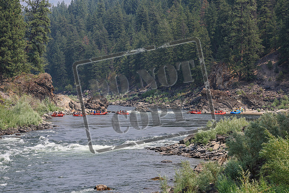 20260801-IMG_8066