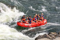 20260801-IMG_8121