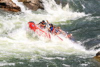 20260801-IMG_8124