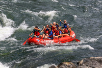 20260801-IMG_8119