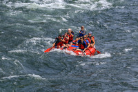 20260801-IMG_8115