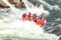 20260801-IMG_8150