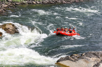20260801-IMG_8146