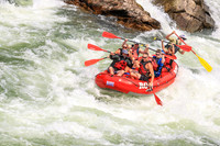 20260801-IMG_8194